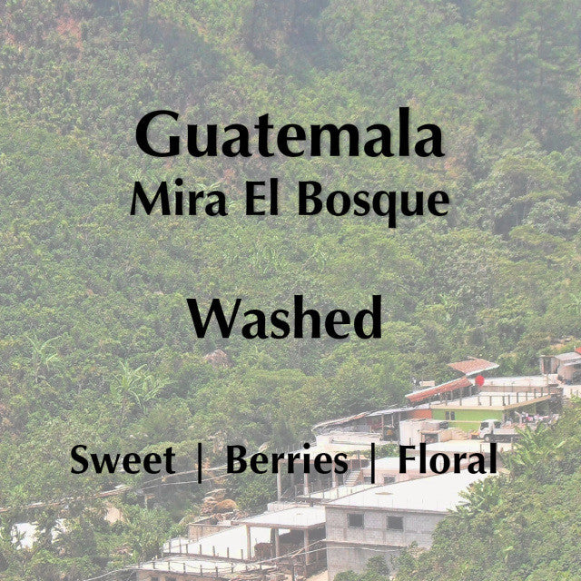 Horsham Coffee Roaster - Guatemala Mira El Bosque