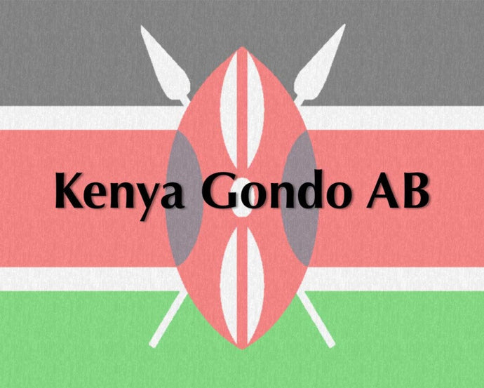 Horsham Coffee Roaster - Kenya Gondo AB *Exclusive*