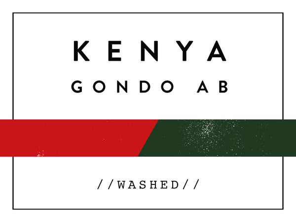 Horsham Coffee Roaster - Kenya Gondo AB