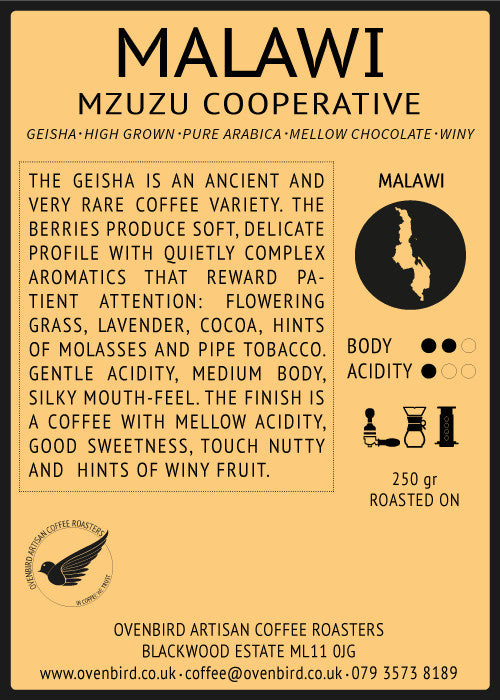 Ovenbird Coffee - Malawi Mzuzu Geisha