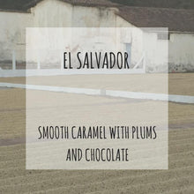 Load image into Gallery viewer, Rounton Coffee Roasters - El Salvador: Finca Bosque Lya