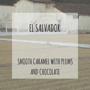 Rounton Coffee Roasters - El Salvador: Finca Bosque Lya