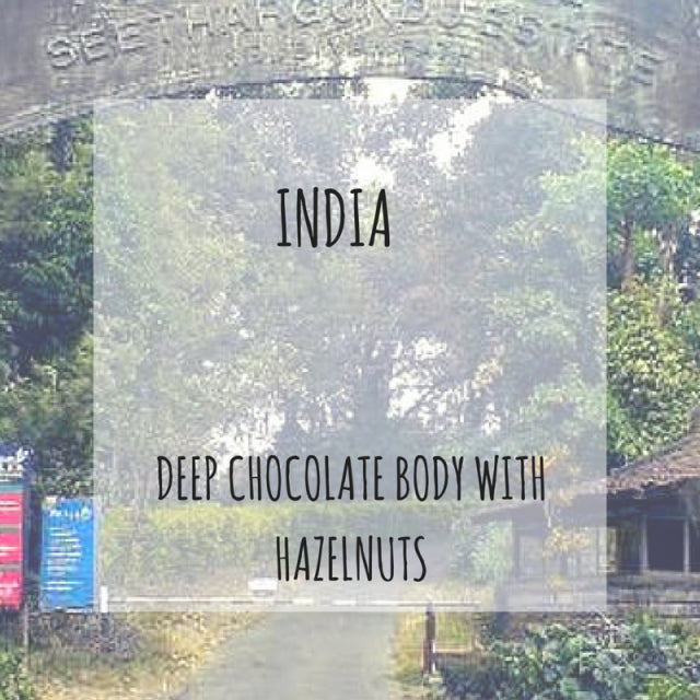 Rounton Coffee Roasters - India Seethargundu Estate Decaf (Co2 Removal)