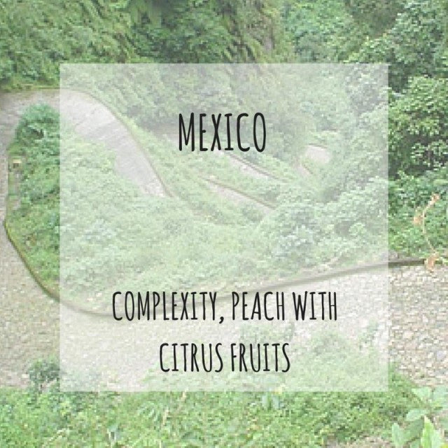 Rounton Coffee Roasters - Mexico: Finca Muxbal Decaf (Co2 Removal)