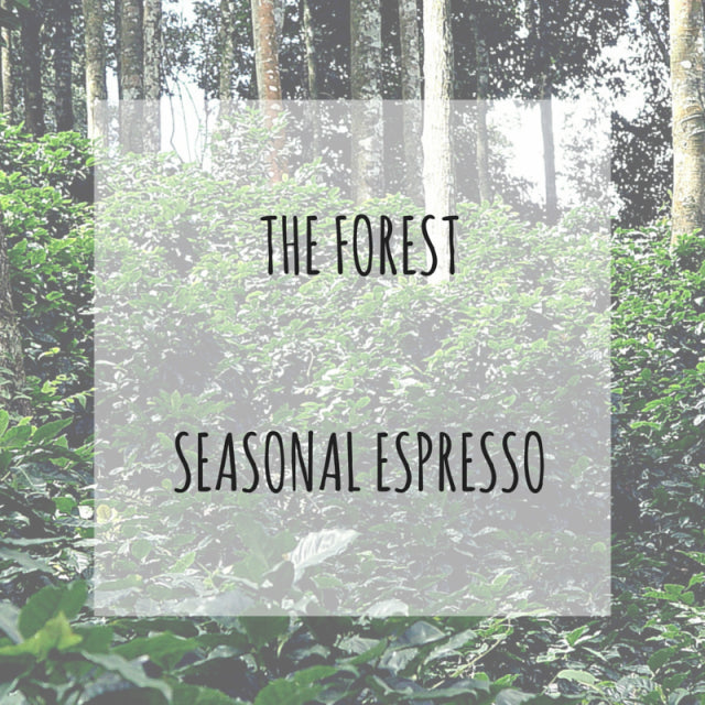 Rounton Coffee Roasters - The Forest Seasonal Espresso