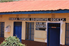 Load image into Gallery viewer, Silver Oak Coffee - Rumukia Farmer&#39;s Co-Op, Kenya alternate image 1