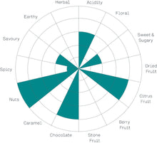 Load image into Gallery viewer, The Coffee Officina - San Antonio Guatemala Cupping Chart