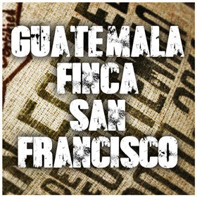 Urban Roast Coffee Co - Guatemala Finca San Francisco